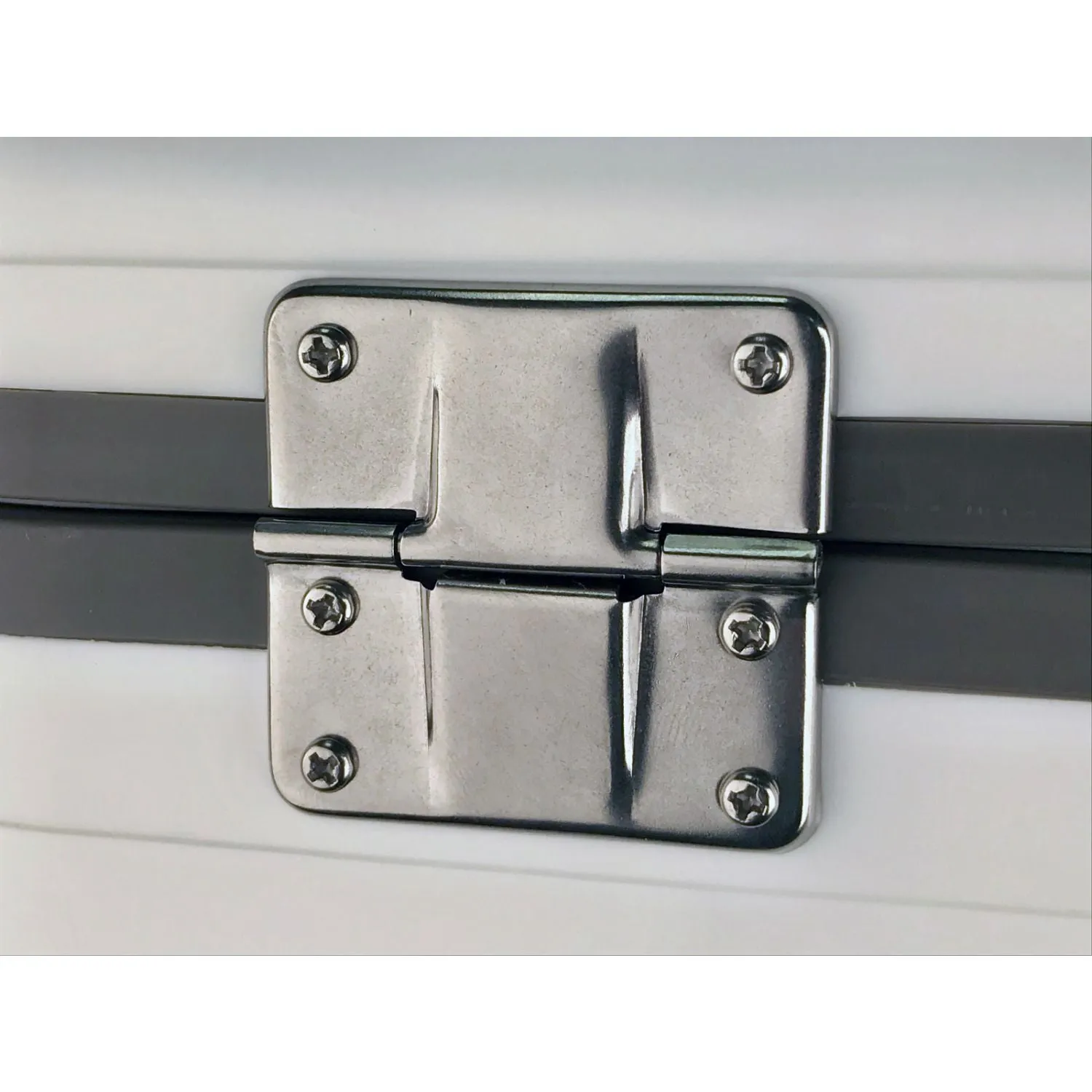 Stainless Steel Drybox Hinge (Single Hinge)